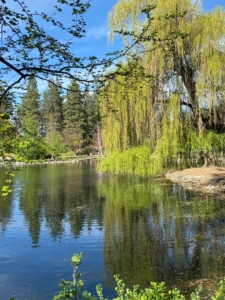 BarbaravanDoorninckGardens